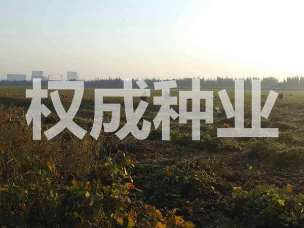 開(kāi)原市權(quán)成種業(yè)有限公司